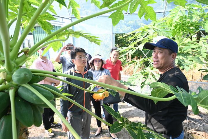 福建福清：加強閩臺農業合作促進產業融合發展