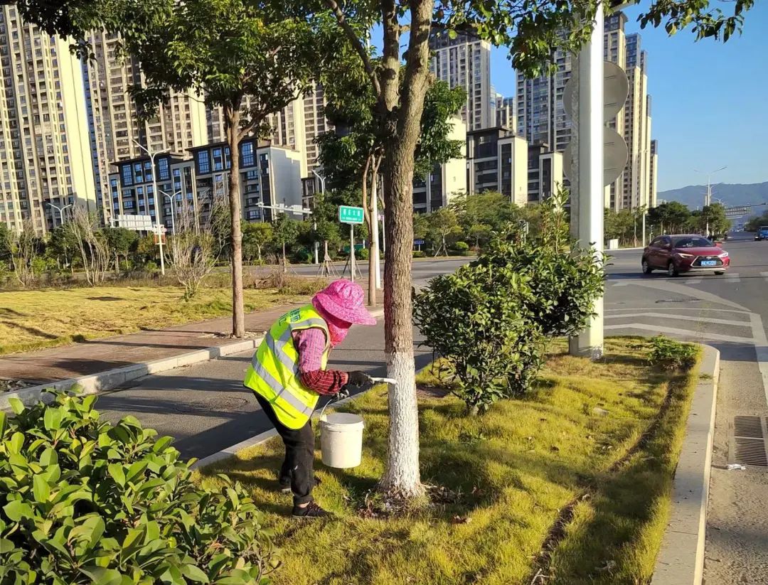 我市全力做好城市園林綠化防寒防凍養(yǎng)護(hù)工作