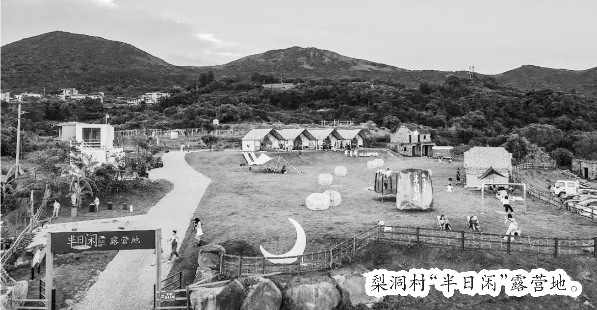 南嶺鎮(zhèn)梨洞村“三色融合”描繪鄉(xiāng)村振興美麗畫卷